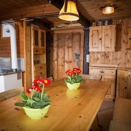 Chalet Enzian - Wunderschone Almhutte In Herrlicher Bergkulisse - Erholung Pur 度假居