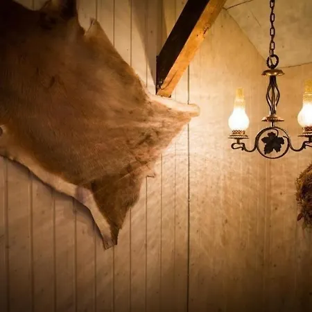 度假居 Chalet Enzian - Wunderschone Almhutte In Herrlicher Bergkulisse - Erholung Pur 格赖芬堡